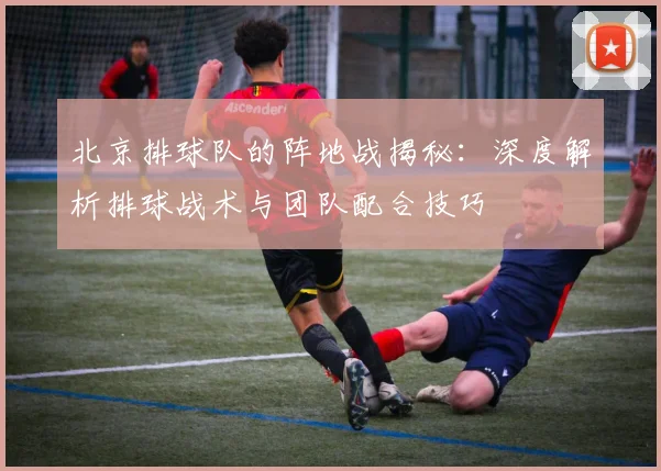北京排球队的阵地战揭秘：深度解析排球战术与团队配合技巧