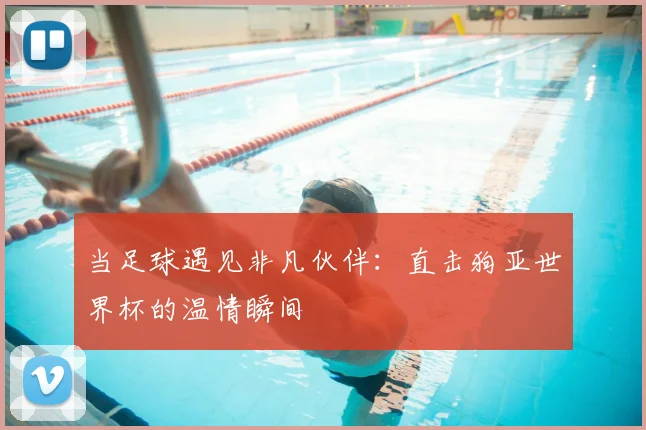 当足球遇见非凡伙伴：直击狗亚世界杯的温情瞬间