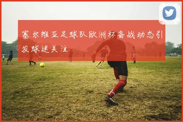 塞尔维亚足球队欧洲杯备战动态引发球迷关注