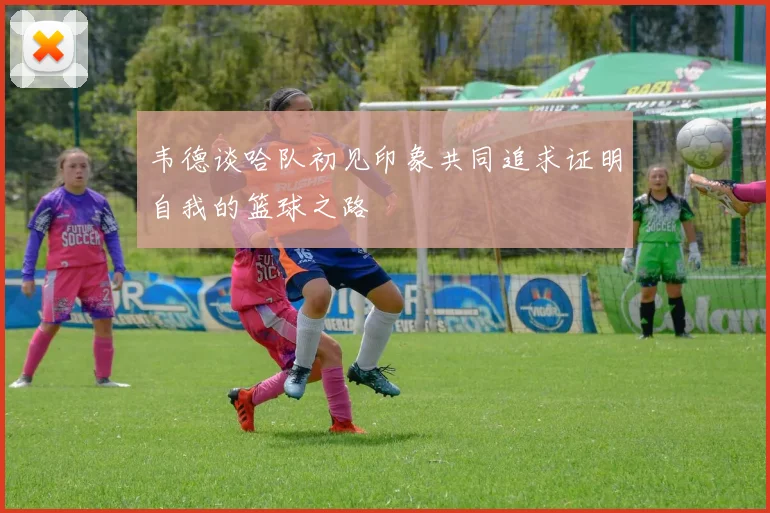 韦德谈哈队初见印象共同追求证明自我的篮球之路