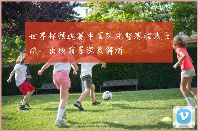世界杯预选赛中国队完整赛程表出炉，出线前景深度解析