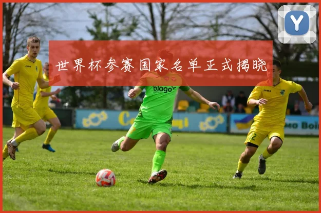 世界杯参赛国家名单正式揭晓