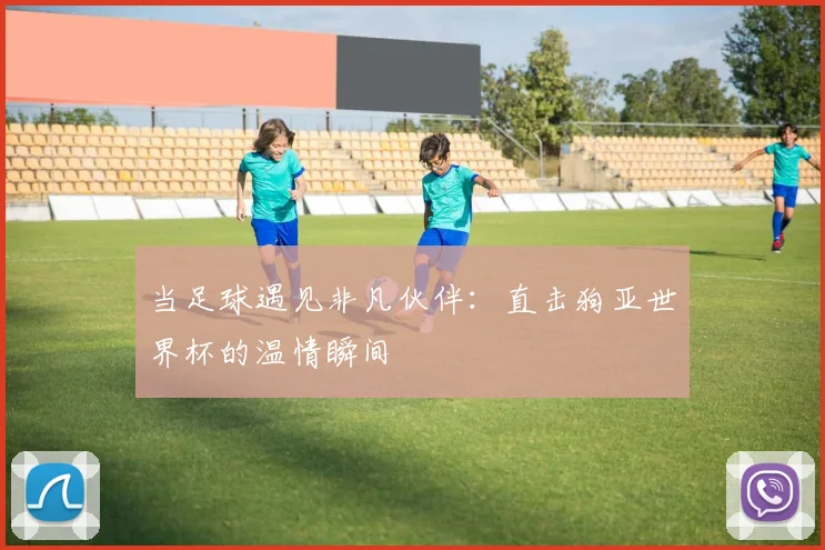 当足球遇见非凡伙伴：直击狗亚世界杯的温情瞬间