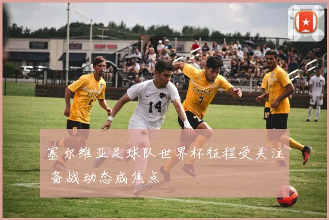塞尔维亚足球队世界杯征程受关注 备战动态成焦点