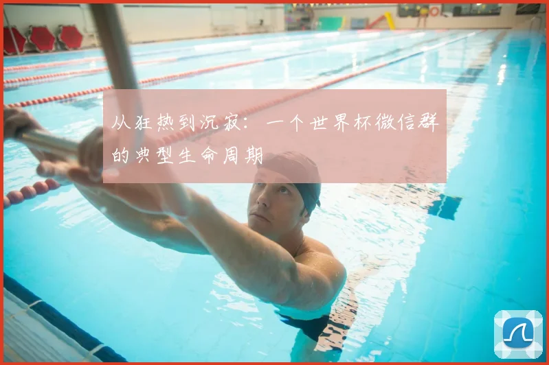 从狂热到沉寂：一个世界杯微信群的典型生命周期