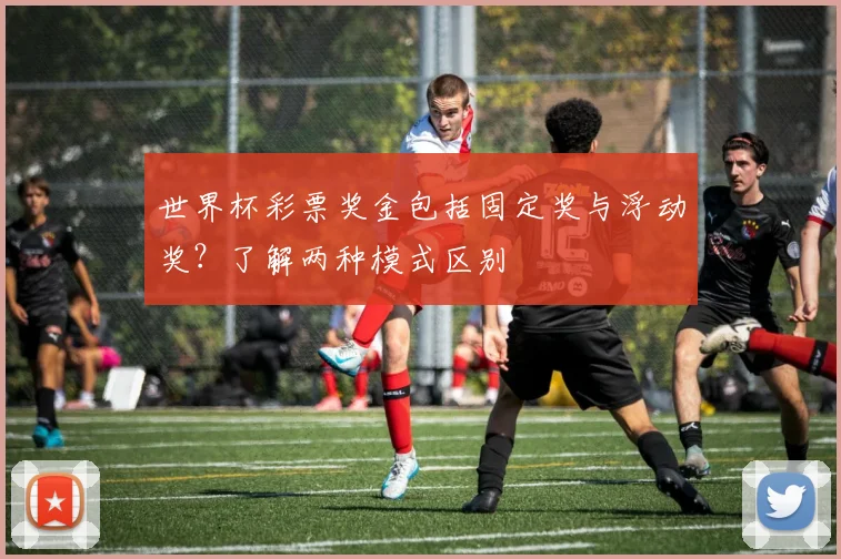 世界杯彩票奖金包括固定奖与浮动奖？了解两种模式区别