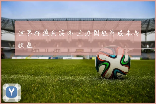 世界杯盈利实况 主办国经济成本与收益